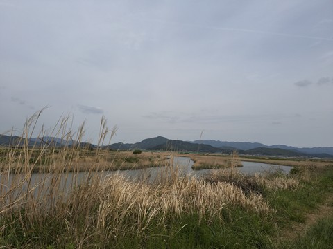 IMG_20260429_153846299.jpg