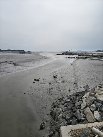 IMG_20260429_153720125_HDR.jpg