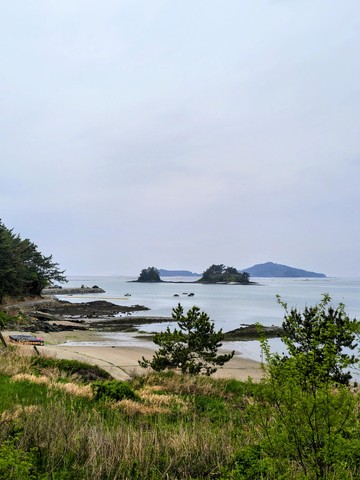 IMG_20260430_072457341_HDR~2.jpg