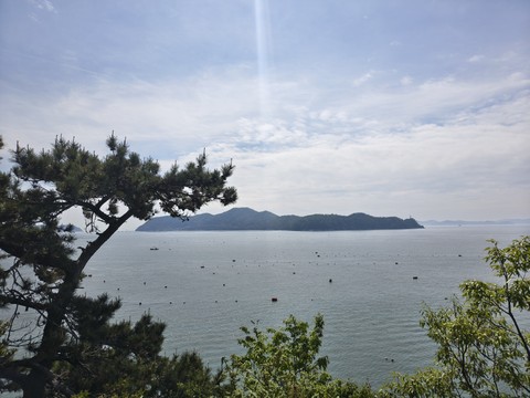 IMG_20260430_104603544_HDR.jpg