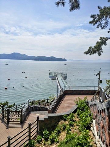 IMG_20260430_104804642_HDR~2.jpg