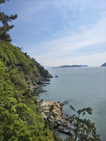 IMG_20260430_104138092_HDR.jpg