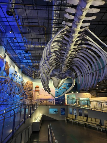 IMG_20260430_113646595_HDR.jpg