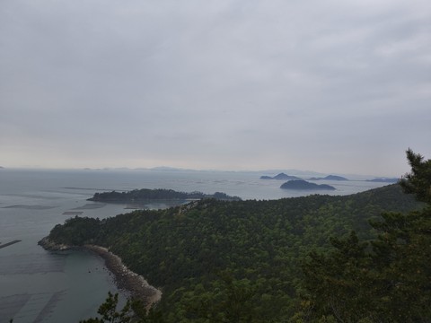IMG_20260430_134950882.jpg