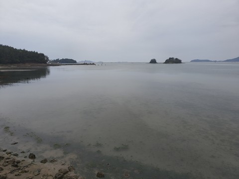 IMG_20260430_072113408.jpg