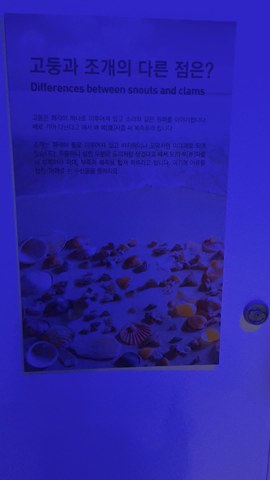 VID_20260430_115252992.mp4