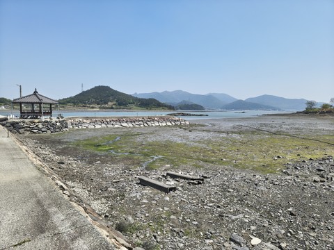 IMG_20260501_133038590_HDR.jpg