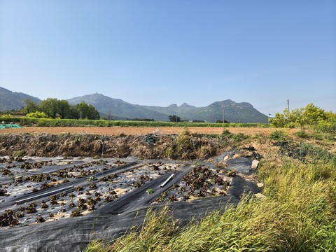 IMG_20260501_153951784_HDR.jpg