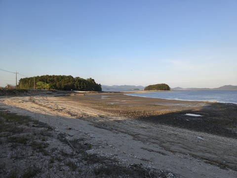 IMG_20260501_182112971.jpg