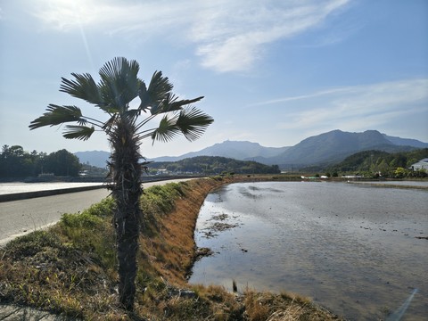 IMG_20260501_163840779_HDR.jpg