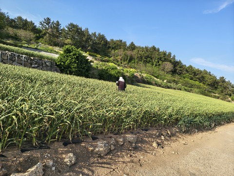 IMG_20260501_173616236_HDR.jpg