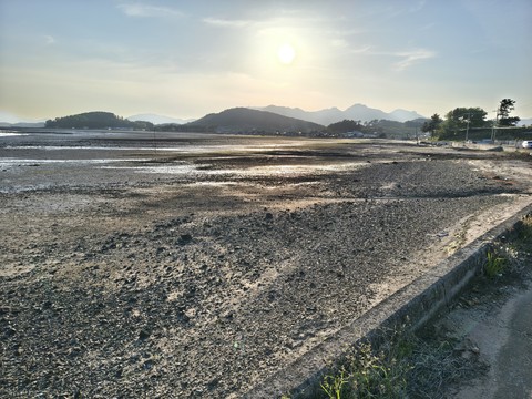 IMG_20260501_181506100_HDR.jpg