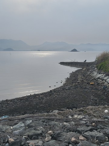 IMG_20260502_075703242_HDR.jpg
