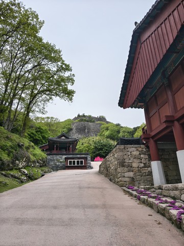 IMG_20260423_172125664_HDR.jpg