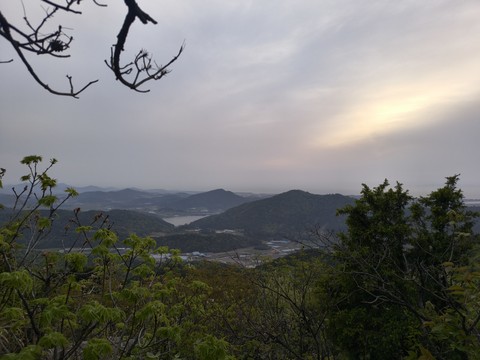 IMG_20260423_185255754.jpg
