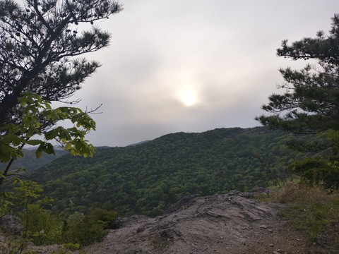 IMG_20260423_182030839.jpg
