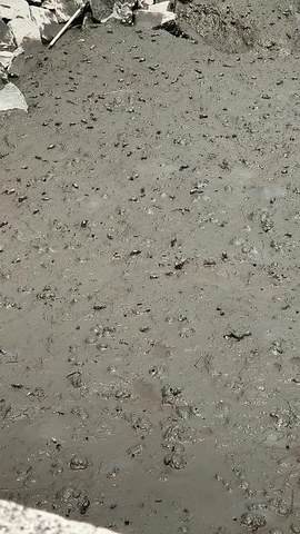 VID_20260423_111856970.mp4
