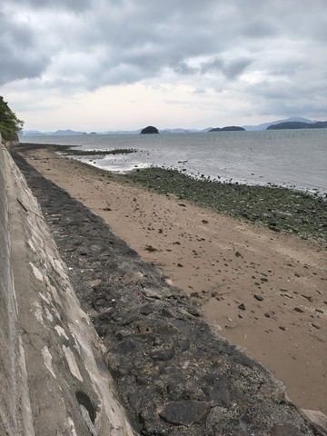 IMG_20260503_190708724_HDR.jpg