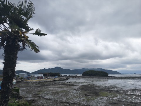 IMG_20260503_152743025_HDR.jpg