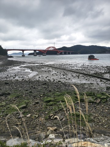 IMG_20260503_161143256_HDR.jpg