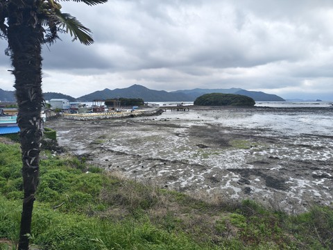 IMG_20260503_152739193_HDR.jpg