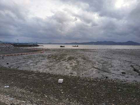 IMG_20260503_190144299.jpg