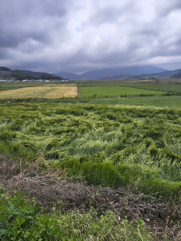 IMG_20260503_180841645_HDR.jpg