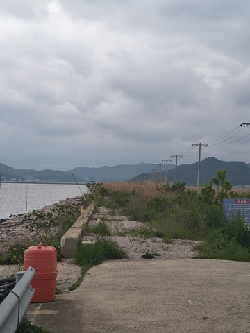 IMG_20260503_185555057_HDR.jpg