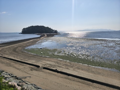 IMG_20260504_082236868_HDR.jpg