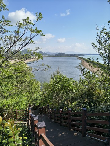 IMG_20260504_091953846_HDR.jpg
