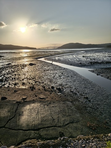 IMG_20260504_063053638_HDR.jpg