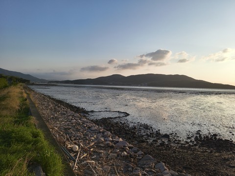 IMG_20260504_062419279.jpg