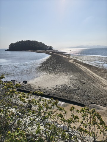 IMG_20260504_082325603_HDR.jpg
