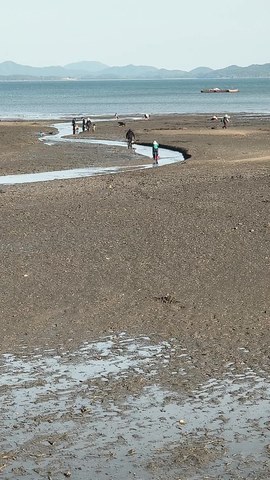 VID_20260504_174340009.mp4