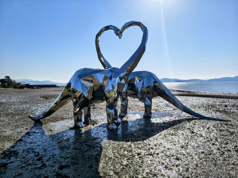 IMG_20260505_080909862_HDR~2.jpg