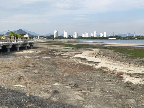 IMG_20260507_170331638_HDR.jpg