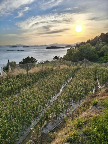 IMG_20260508_183430694_HDR.jpg