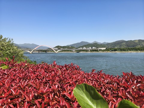 IMG_20260508_101442841_HDR.jpg