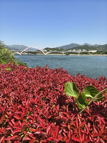 IMG_20260508_101435726_HDR.jpg