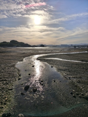 IMG_20260508_175250419_HDR.jpg