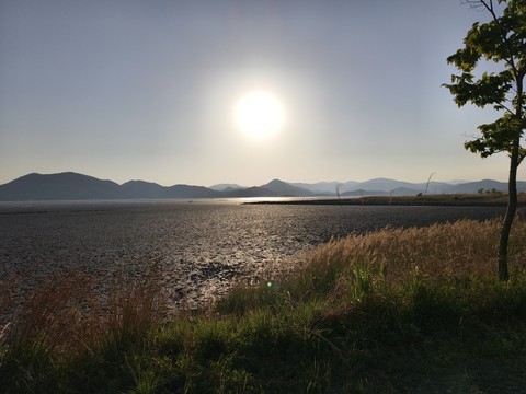 IMG_20260506_180818917.jpg