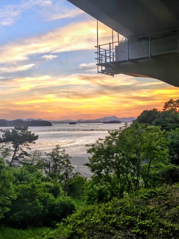 IMG_20260508_191210149_HDR~2.jpg