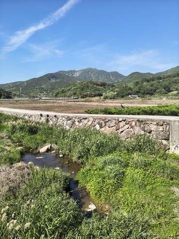 IMG_20260508_154204696_HDR.jpg