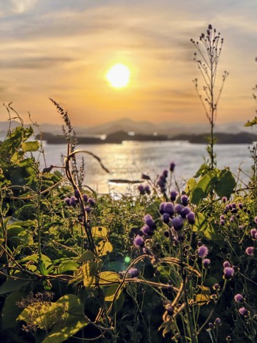 IMG_20260508_184314639_HDR_PORTRAIT~2.jpg