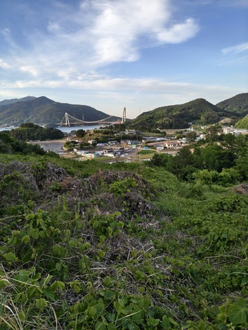 IMG_20260508_183206712_HDR.jpg