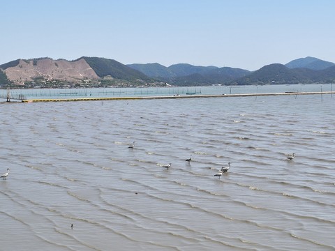 IMG_20260506_130920100_HDR.jpg