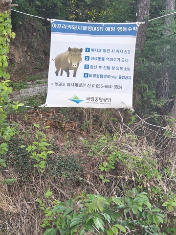 IMG_20260508_181755114_HDR.jpg
