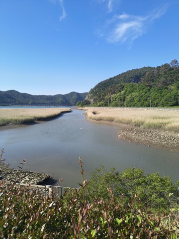 IMG_20260508_082827498.jpg