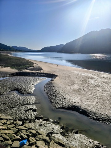 IMG_20260508_074628653_HDR~2.jpg