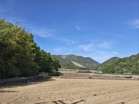 IMG_20260508_153100207_HDR.jpg